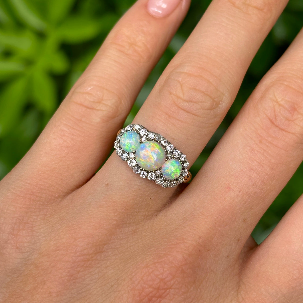 Antique, Victorian three-stone opal & diamond cluster ring worn on hand.