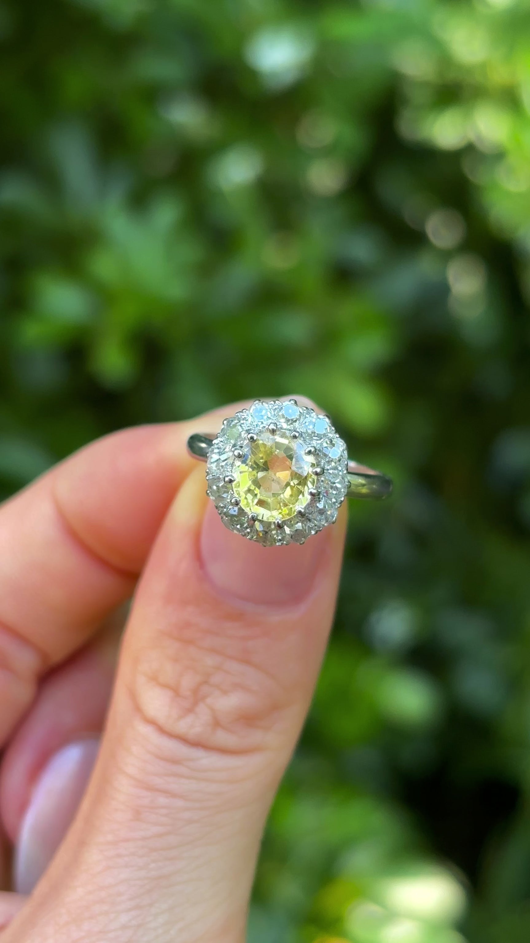 Antique, Edwardian sapphire & diamond cluster ring, 18ct white gold worn on hand.