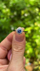 Antique, Edwardian sapphire and diamond cluster ring, 18ct yellow gold and platinum