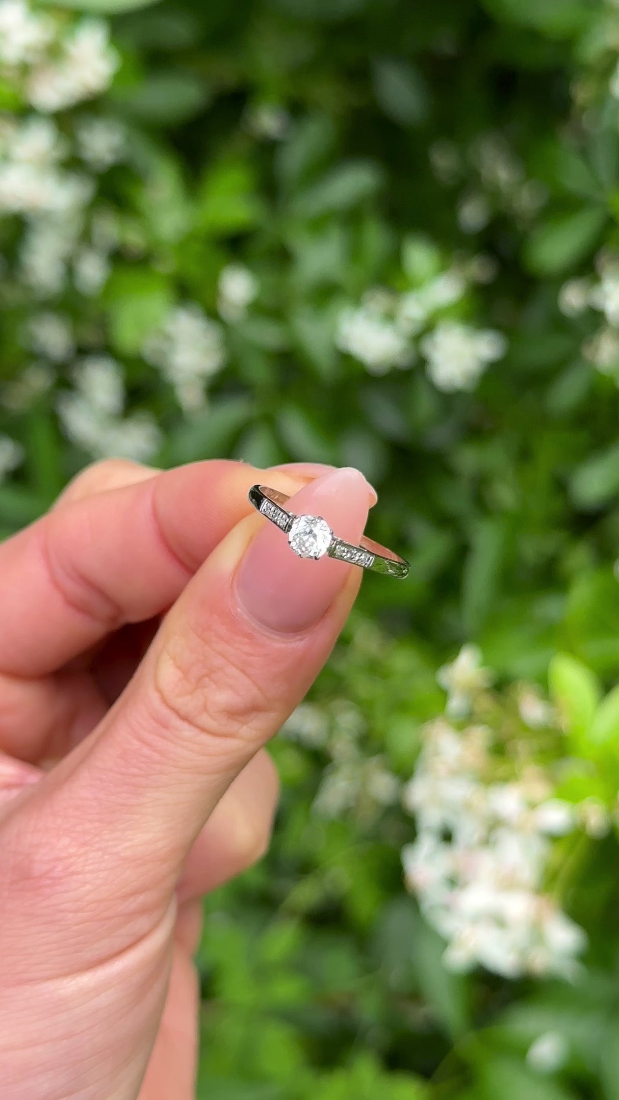 Antique, Edwardian solitaire diamond engagement ring, 18ct white gold and platinum