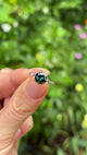 Antique, Edwardian teal sapphire & diamond ring, platinum held in fingers