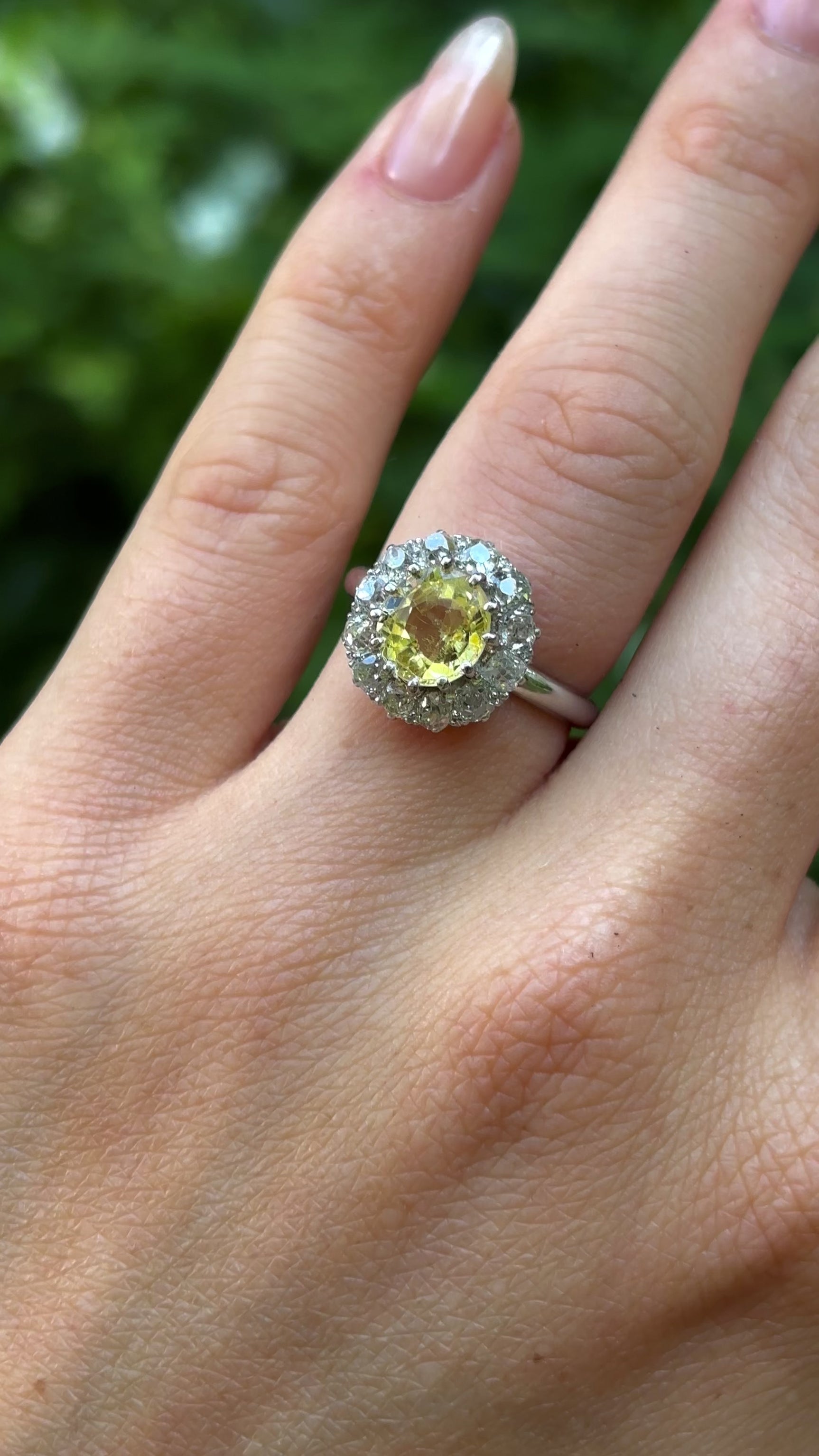 Antique, Edwardian sapphire & diamond cluster ring, 18ct white gold worn on hand.