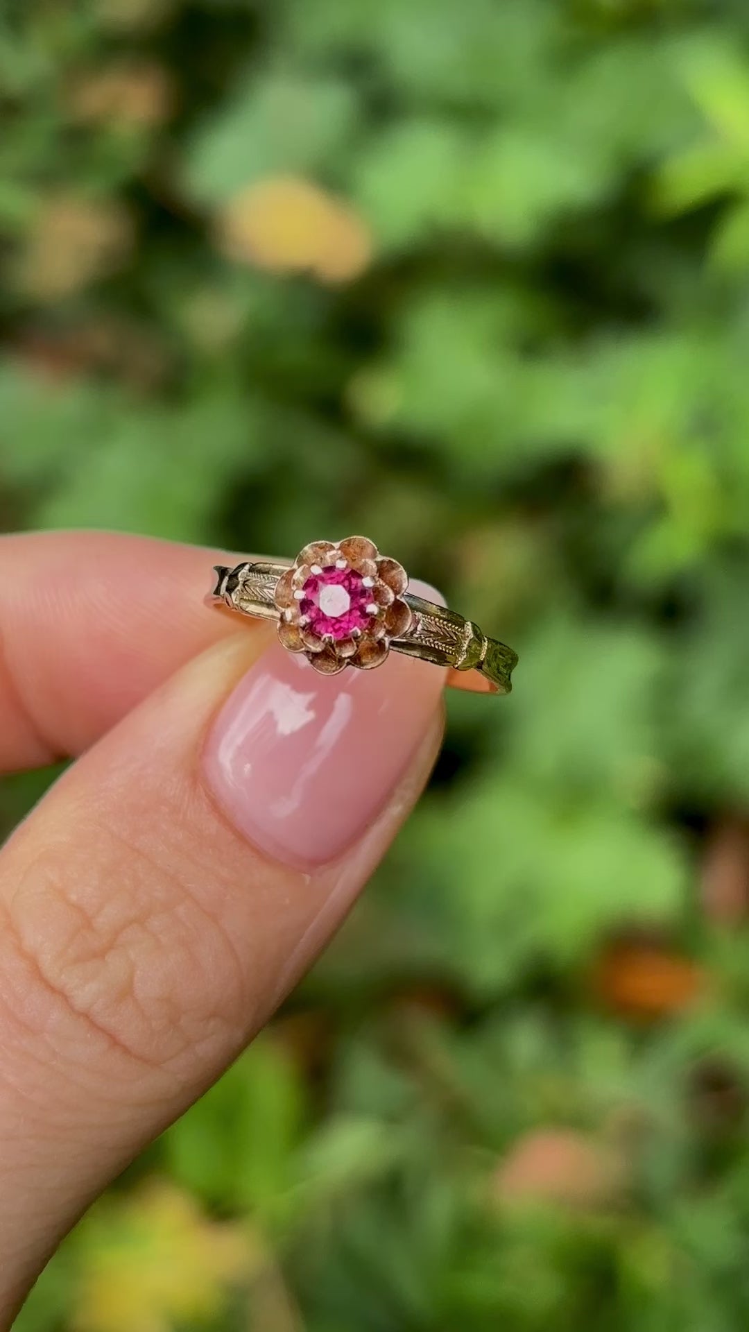 French circa 1900 ruby ring